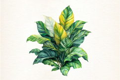Watercolor Tropical Leaves, Summer Palm Product Image 2