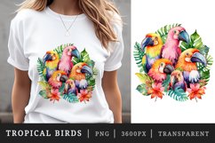 Watercolor tropical squad group of adorable cute tropical birds family summer vacation sublimation print designs and clipart bundle