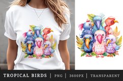 Watercolor tropical squad group of adorable cute tropical birds family summer vacation sublimation print designs and clipart bundle