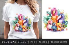Watercolor tropical squad group of adorable cute tropical birds family summer vacation sublimation print designs and clipart bundle