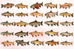 Watercolor Trout Fish Clipart Bundle Product Image 3