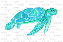 Watercolor Turquoise Turtle Sublimation Design PNG Product Image 3