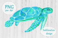 Watercolor Turquoise Turtle Sublimation Design PNG Product Image 1