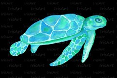 Watercolor Turquoise Turtle Sublimation Design PNG Product Image 4