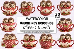 Hedgehog Clipart,Hedgehog Png,Baby Hedgehog,Watercolor Clipart,Watercolor Hedgehog,Hedgehog Art,Woodland Clipart,Valentines Clipart,