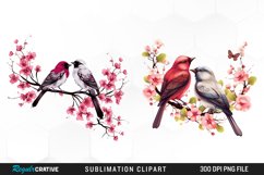 Clipart Valentine,Png Valentine,Pink Valentine,Love Birds,Watercolor Clipart,Watercolor Png,Birds Png,Birds Clipart,Animal Clipart,Digital Png,Clipart Bundle,Sublimation Png,Romantic,Bird,Birds,Bird Couple,Couple,Valentine,Day,Valentines Day,