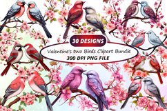 Clipart Valentine,Png Valentine,Pink Valentine,Love Birds,Watercolor Clipart,Watercolor Png,Birds Png,Birds Clipart,Animal Clipart,Digital Png,Clipart Bundle,Sublimation Png,Romantic,Bird,Birds,Bird Couple,Couple,Valentine,Day,Valentines Day,
