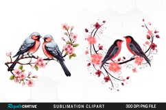 Clipart Valentine,Png Valentine,Pink Valentine,Love Birds,Watercolor Clipart,Watercolor Png,Birds Png,Birds Clipart,Animal Clipart,Digital Png,Clipart Bundle,Sublimation Png,Romantic,Bird,Birds,Bird Couple,Couple,Valentine,Day,Valentines Day,
