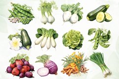 Watercolor Vegetable Collection Clipart Product Image 3