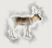 Easy Animal Painting Plugin Product Image 8