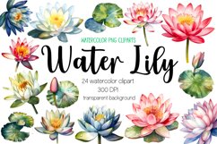 Watercolor Water Lily Clipart