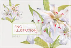 Watercolor White Lily Bouquet Botanical PNG Product Image 1