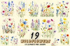 Wildflowers clipart,Wildflowers illustrations,Digital wildflowers,Wildflowers graphics,Printable wildflowers,Wildflowers design,Wildflowers patterns,Watercolor wildflowers,Spring wildflowers,Botanical wildflowers