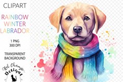 Watercolor winter cute labrador rainbow sublimation clipart transparent png