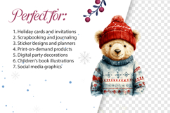 Watercolor Winter Kweii Clipart - 28 PNG Characters Product Image 2
