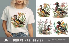 Watercolor Wood Duck in Reeds Flowers Clipart Product Image 1