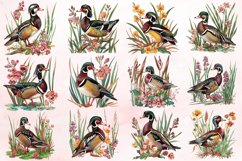 Watercolor Wood Duck in Reeds Flowers Clipart Bundle Product Image 2