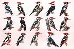 Watercolor Woodpecker Clipart Bundle Product Image 3