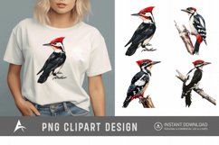 Watercolor Woodpecker Clipart Product Image 1