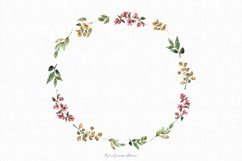 Wreaths Spring Watercolor Clipart |Watercolor Flowers PNG Product Image 4