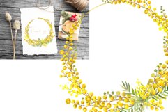 Watercolor Clipart, Spring Flowers Png Graphic yellow mimosa Product Image 5