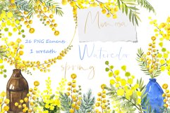 Watercolor Clipart, Spring Flowers Png Graphic yellow mimosa Product Image 1