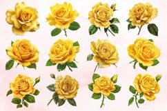 Watercolor Yellow Rose Clipart Bundle Product Image 2
