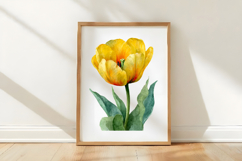 Watercolor Yellow Tulip Flower Clipart Product Image 3