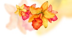 Hand Drawn Illustration with Yellow Orchids. Watercolor Art Product Image 1