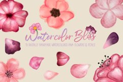 Watercolor Bliss Bundle| 13 watercolor pink flowers & petals Product Image 1