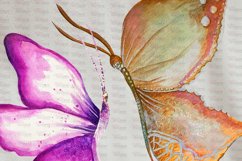 Watercolor Hand Painted Butterflies Product Image 11