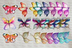 Watercolor Hand Painted Butterflies Product Image 7