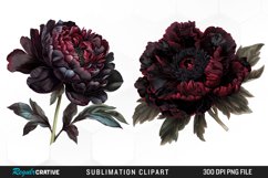 Watercolor Dark Peony Design Clipart Product Image 1