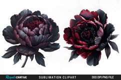 Watercolor Dark Peony Graphics Clipart Product Image 1
