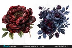 Watercolor Dark Peony Graphics Clipart Product Image 1