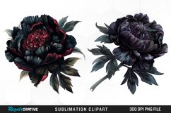 Watercolor Dark Peony Graphics Clipart Product Image 1