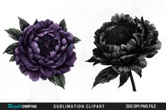 Watercolor Dark Peony Graphics Clipart Product Image 1