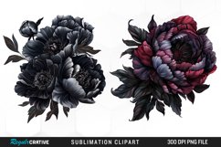 Watercolor Dark Peony Graphics Clipart Product Image 1
