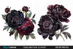 Watercolor Dark Peony Graphics Clipart Product Image 1