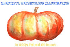 Beautiful Watercolour Pumpkin Squash Autumn Illustration Product Image 1