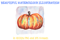 Watercolour pumpkin squash illustration by Squeeb Creative