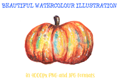 Beautiful Watercolor Pumpkin Squash Autumn Illustration Product Image 2