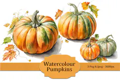 3 Watercolour Pumpkin Illustrations Product Image 1