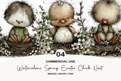 Watercolor Spring Easter Chick Nest Product Image 1