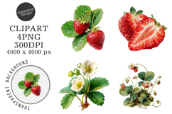 Watercolor Strawberry Clipart Product Image 1