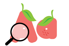 Watermelon Lemonade Color Font Product Image 2