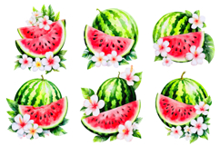 Watermelon summer, 7 transparent png Product Image 2