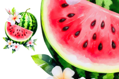 Watermelon summer, 7 transparent png Product Image 4