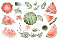 Watermelon summer Watercolor clipart png mint leaves Product Image 2
