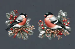 Winter Bird clipart / 3 PNG / sublimation design Product Image 2